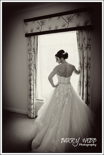 Bride posed infront of window at Hadlow Manor
